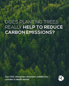 Does planting trees help reduce carbon emissions? - GreenDice